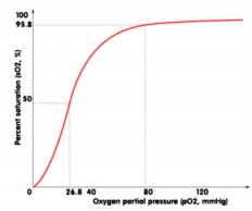 Oxygen Haemoglobin Dissociation Curve